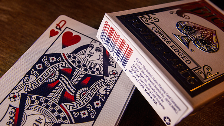 Details about   Bicycle Limited Edition Bald Eagle Playing Cards With Numbered Seals Poker 